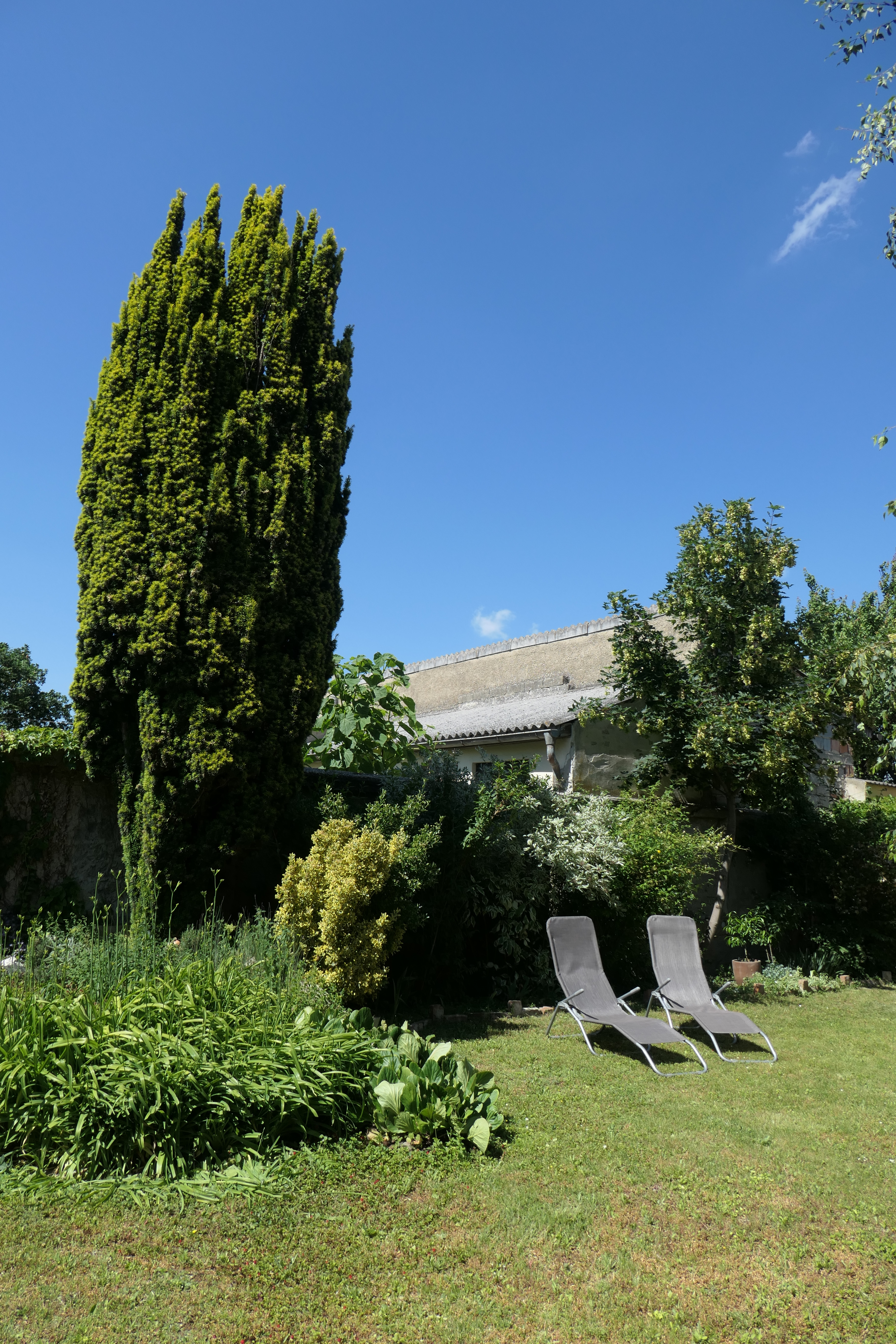 paradies-fuer-zwei_garten